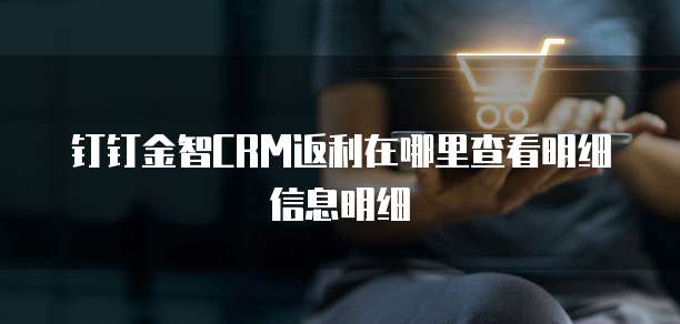 钉钉金智CRM返利在哪里查看明细信息明细