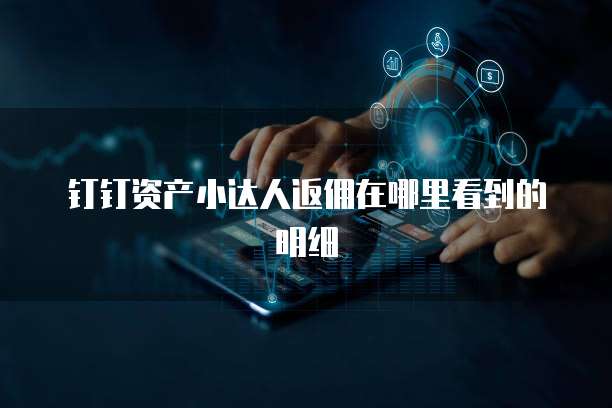 钉钉资产小达人返佣在哪里看到的明细