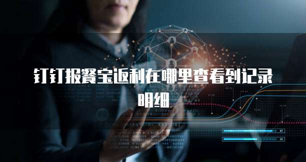 钉钉报餐宝返利在哪里查看到记录明细