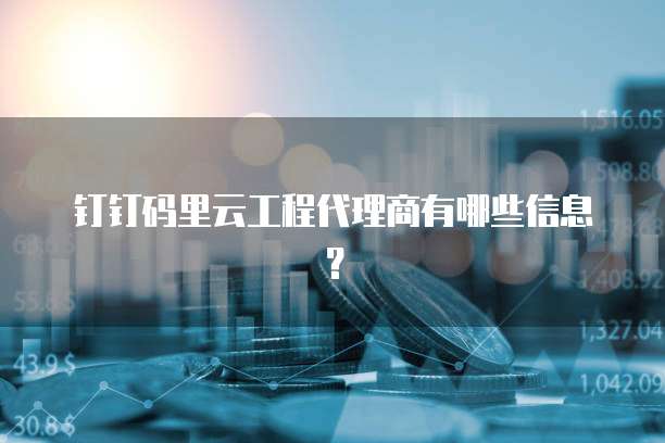 钉钉码里云工程代理商有哪些信息？