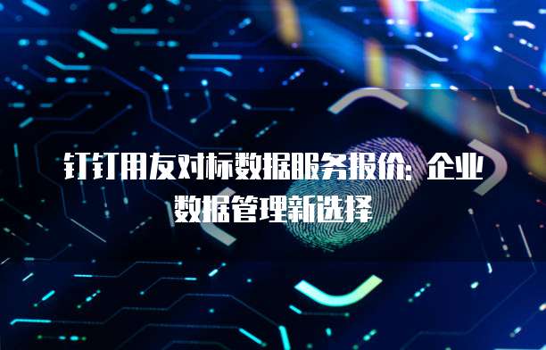钉钉用友对标数据服务报价: 企业数据管理新选择