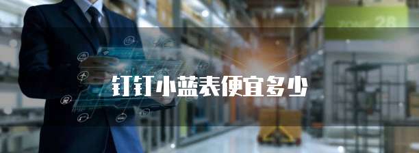 钉钉小蓝表便宜多少