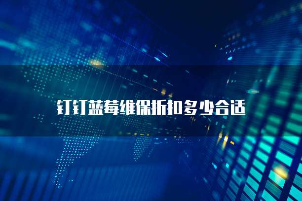 钉钉蓝莓维保折扣多少合适