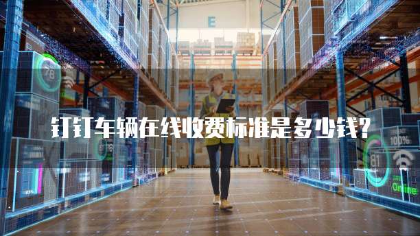 钉钉车辆在线收费标准是多少钱?