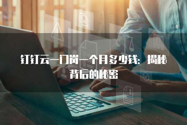 钉钉云一门岗一个月多少钱:揭秘背后的秘密