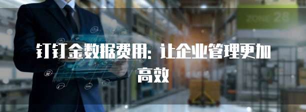 钉钉金数据费用: 让企业管理更加高效