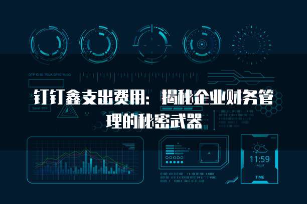 钉钉鑫支出费用：揭秘企业财务管理的秘密武器