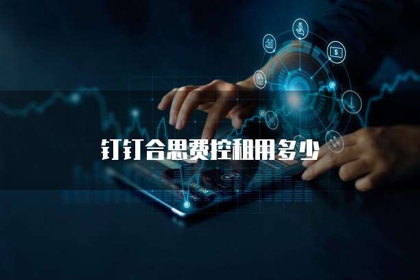 钉钉合思费控租用多少