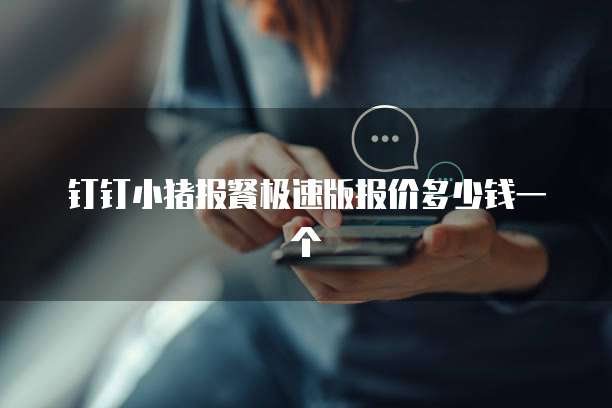 钉钉小猪报餐极速版报价多少钱一个