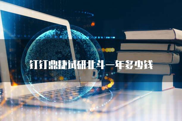 钉钉鼎捷试研北斗一年多少钱