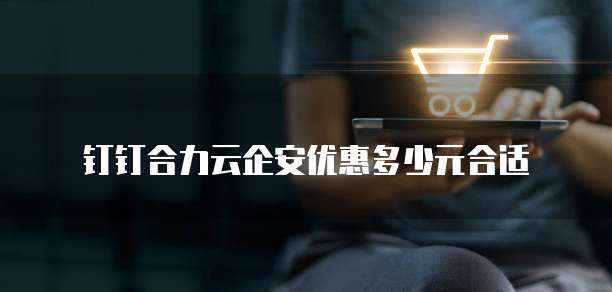 钉钉合力云企安优惠多少元合适