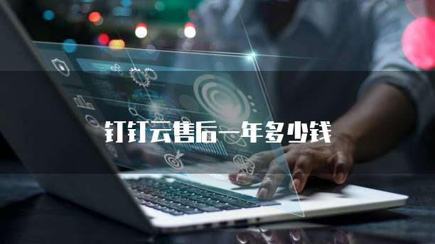 钉钉云售后一年多少钱