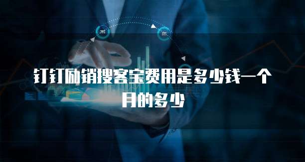 钉钉励销搜客宝费用是多少钱一个月的多少