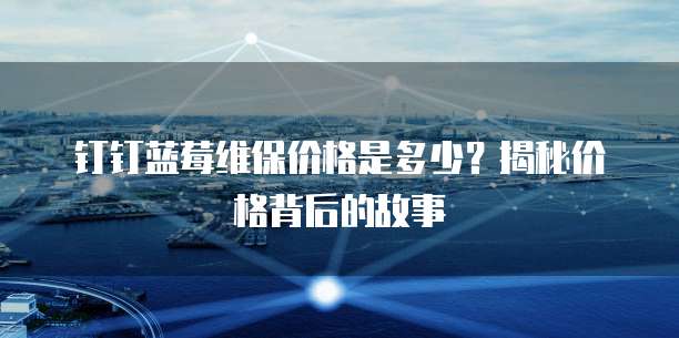 钉钉蓝莓维保价格是多少?揭秘价格背后的故事
