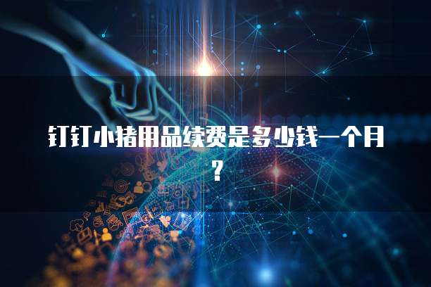 钉钉小猪用品续费是多少钱一个月？