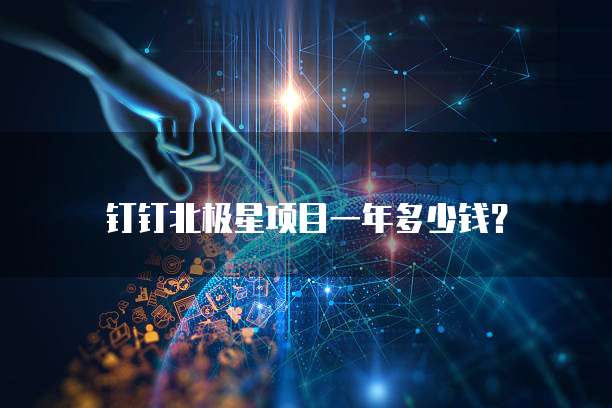 钉钉北极星项目一年多少钱？