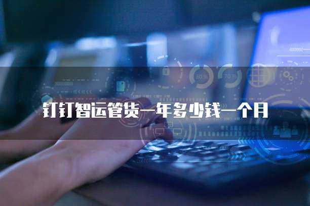钉钉智运管货一年多少钱一个月