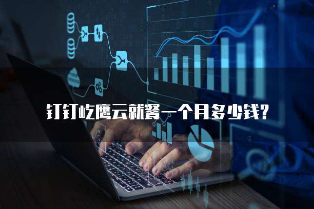 钉钉屹鹰云就餐一个月多少钱？