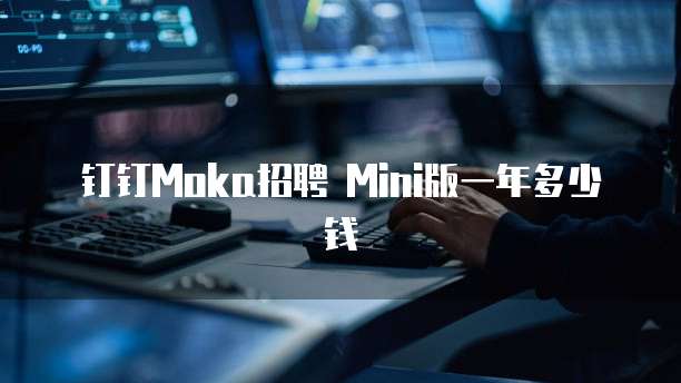 钉钉Moka招聘 Mini版一年多少钱