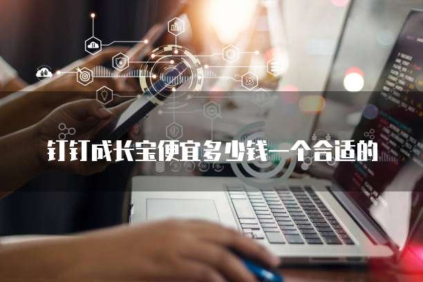 钉钉成长宝便宜多少钱一个合适的
