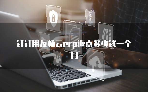 钉钉用友畅云erp返点多少钱一个月