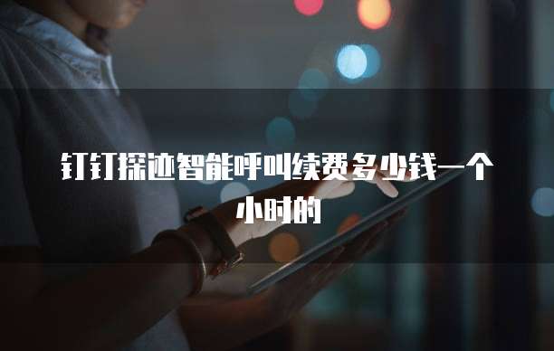 钉钉探迹智能呼叫续费多少钱一个小时的