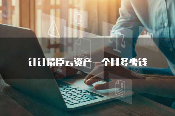钉钉精臣云资产一个月多少钱