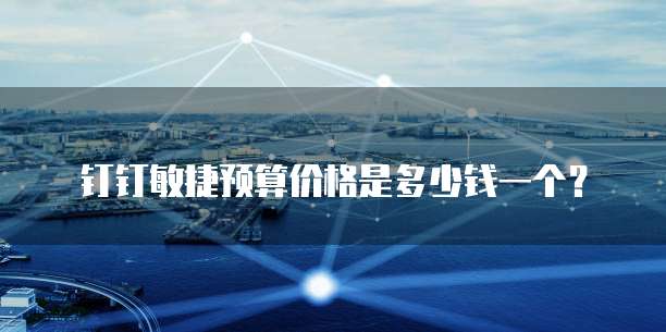 钉钉敏捷预算价格是多少钱一个？