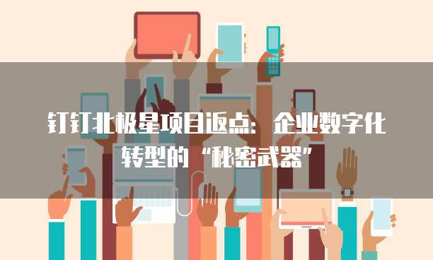 钉钉北极星项目返点:企业数字化转型的“秘密武器”