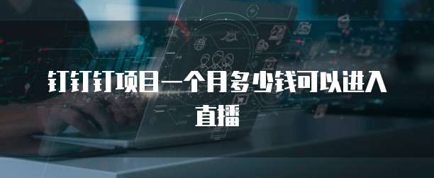 钉钉钉项目一个月多少钱可以进入直播