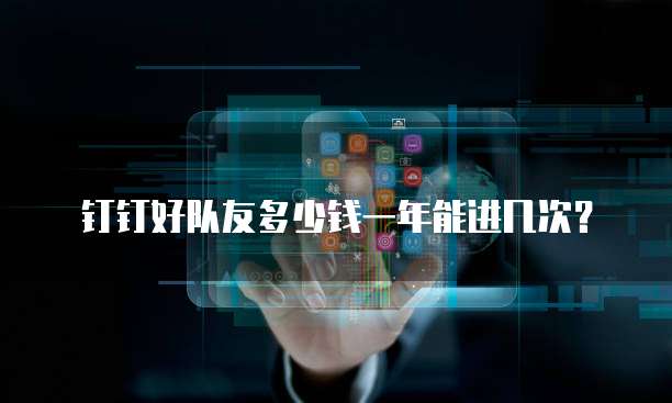 钉钉好队友多少钱一年能进几次?