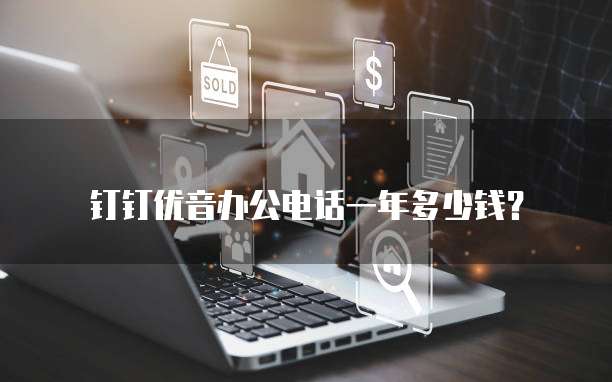 钉钉优音办公电话一年多少钱?