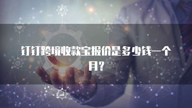 钉钉跨境收款宝报价是多少钱一个月?