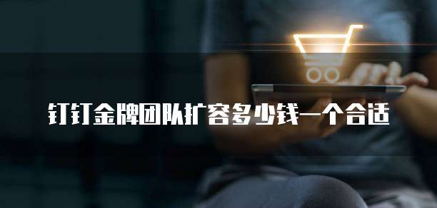 钉钉金牌团队扩容多少钱一个合适