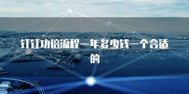 钉钉功倍流程一年多少钱一个合适的