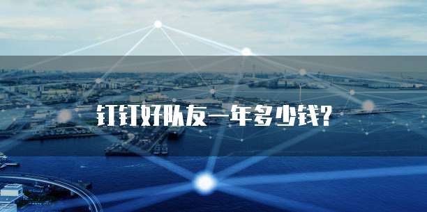 钉钉好队友一年多少钱？