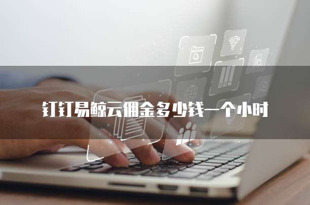 钉钉易鲸云佣金多少钱一个小时