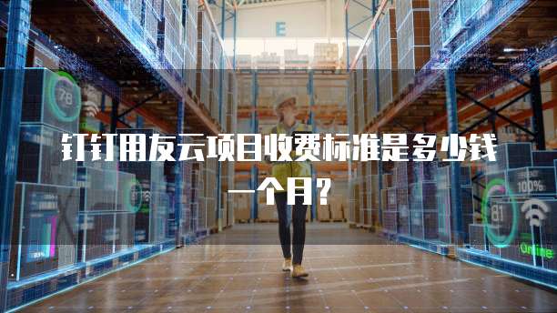 钉钉用友云项目收费标准是多少钱一个月？