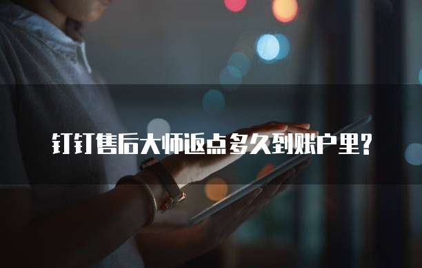 钉钉售后大师返点多久到账户里?