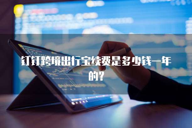 钉钉跨境出行宝续费是多少钱一年的？