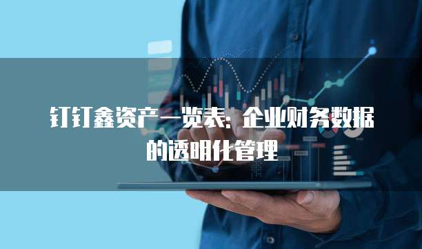 钉钉鑫资产一览表: 企业财务数据的透明化管理