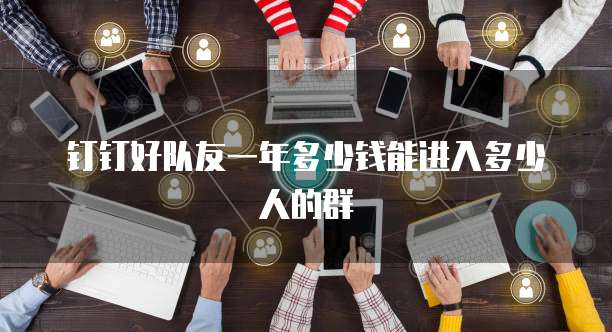 钉钉好队友一年多少钱能进入多少人的群