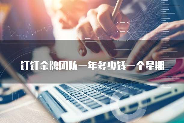 钉钉金牌团队一年多少钱一个星期