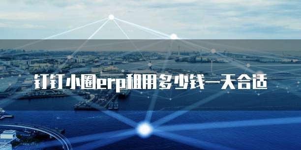 钉钉小圈erp租用多少钱一天合适