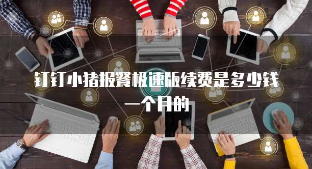 钉钉小猪报餐极速版续费是多少钱一个月的
