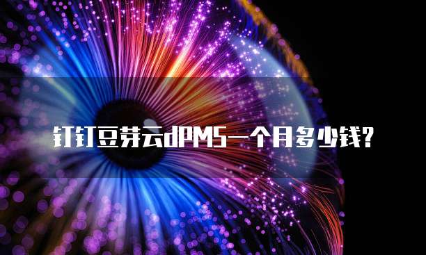 钉钉豆芽云dPMS一个月多少钱？