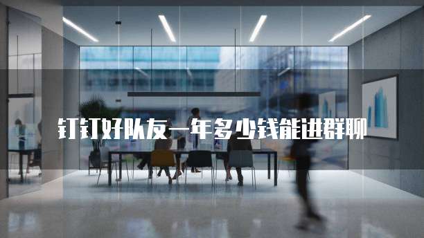 钉钉好队友一年多少钱能进群聊