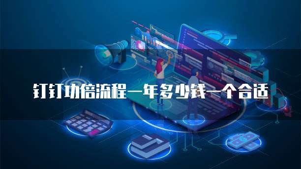 钉钉功倍流程一年多少钱一个合适