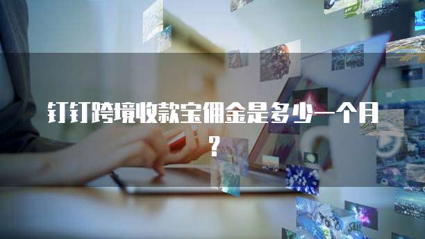 钉钉跨境收款宝佣金是多少一个月?