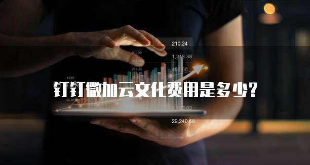 钉钉微加云文化费用是多少？